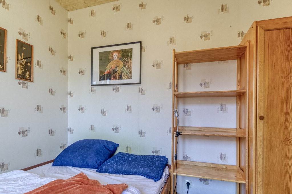 Lamsoor 3b Nieuwvliet-11.jpg